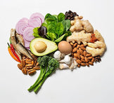Organic Brain Protocol